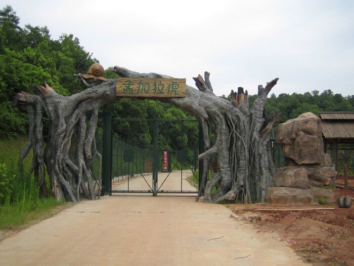 動(dòng)物園車行區(qū)電動(dòng)門(mén)景觀豐容
