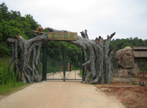 動(dòng)物園車(chē)行區(qū)電動(dòng)門(mén)景觀(guān)豐容