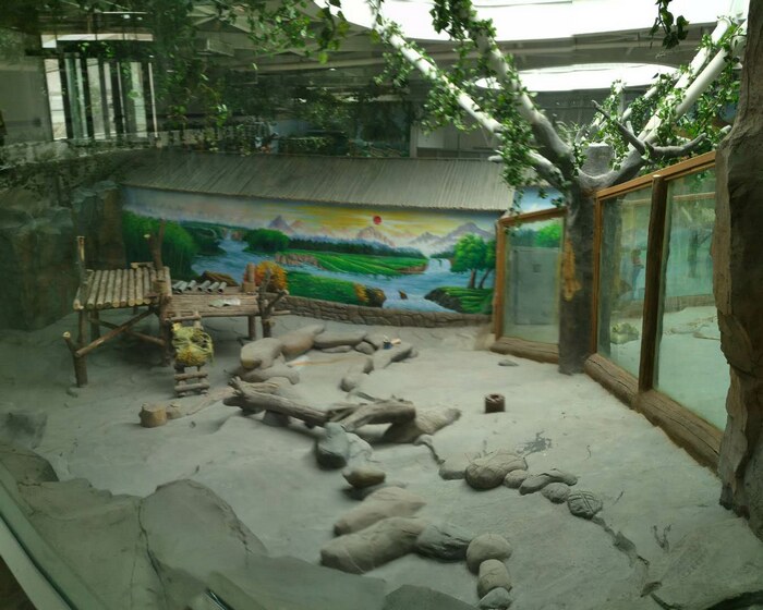 熊貓館豐容